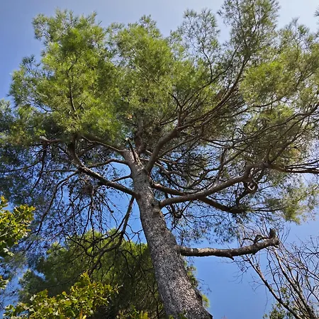 San Rocco Casa de Férias *