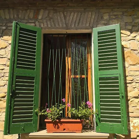 San Rocco * بيزارو