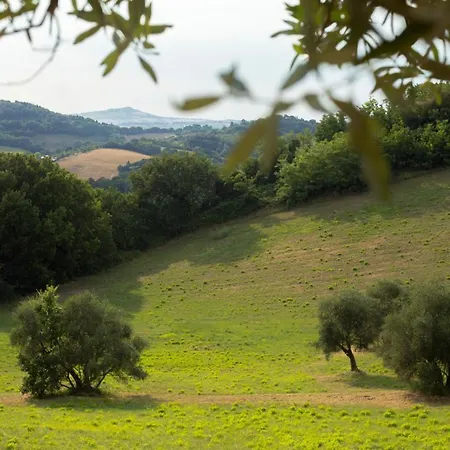 San Rocco Nyaraló *