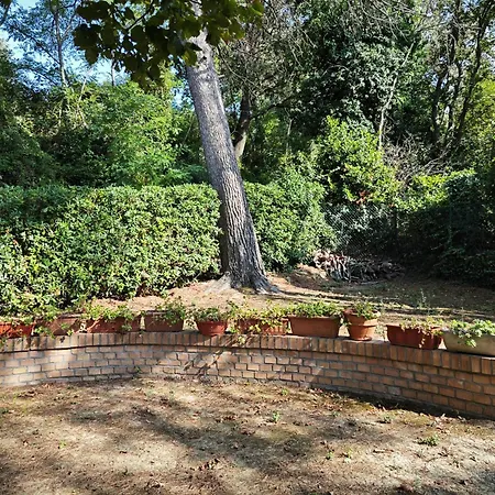 Nyaraló San Rocco *